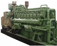1.Natural Gas Genset 2. Biogas Genset 3. Syngas Genset