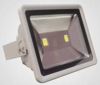 LED Floodlight 100W