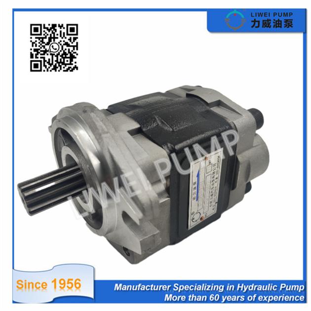 69101 FK281 Forklift Spares Hydraulic Pump
