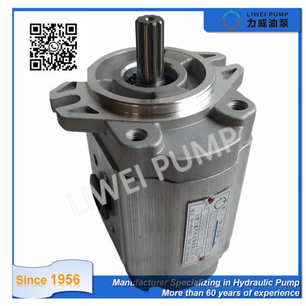 4D95S Forklift Hydraulic Overload Pump Cast
