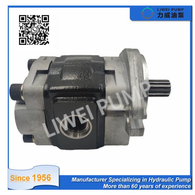 69101 FK281 Forklift Spares Hydraulic Pump