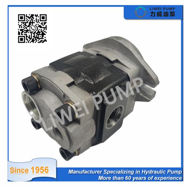 69101 FK281 Forklift Spares Hydraulic Pump