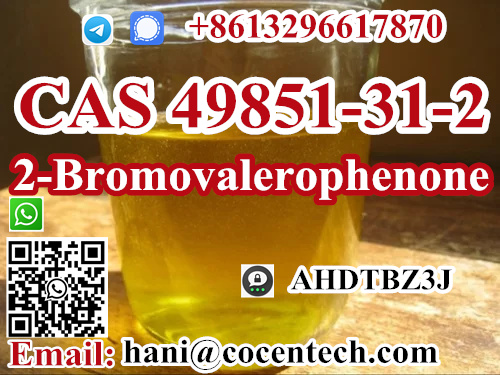 TOP Quality 2-Bromovalerophenone CAS 49851-31-2 Low Price large stock Telegram/Signal:+8613296617870