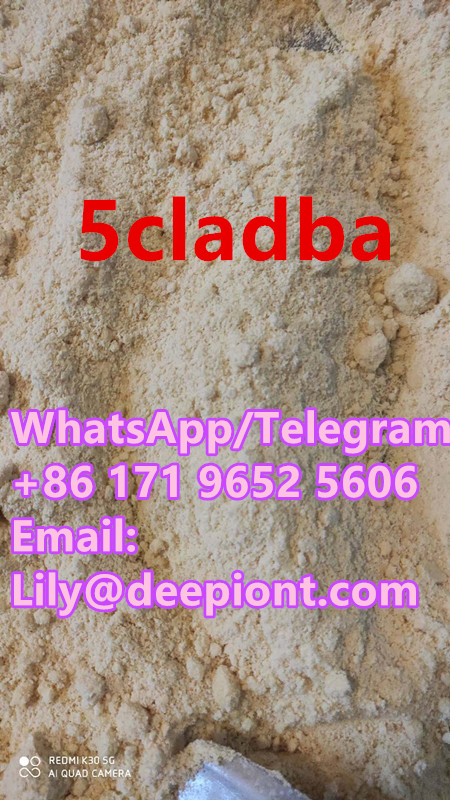 5CL ADB A 5 Cl Adb
