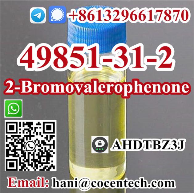 2 Bromovalerophenone CAS 49851 31 2