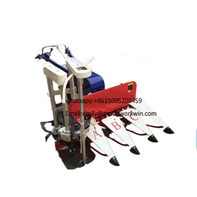 GRAIN BINDER