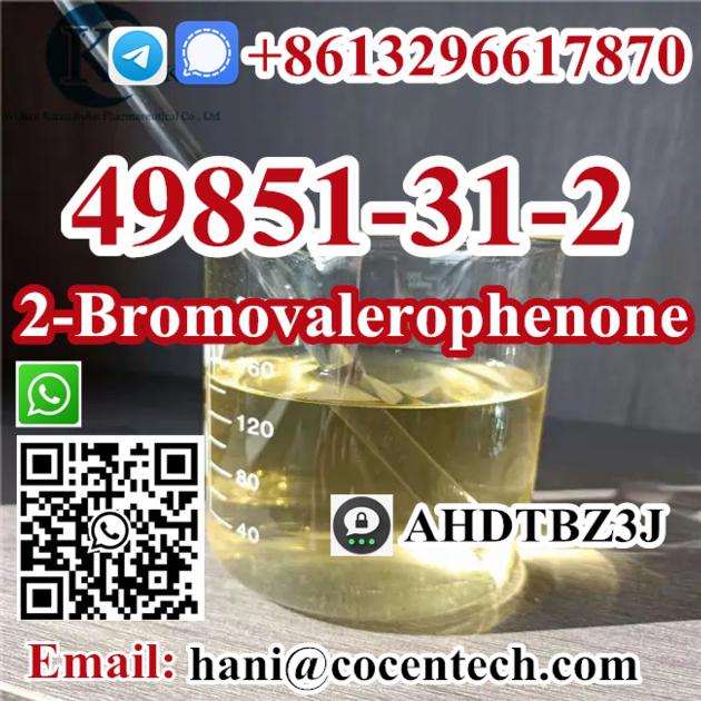 TOP Quality 2 Bromovalerophenone CAS 49851