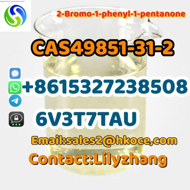 buy New 2-Bromovalerophenone CAS.49581-31-2 China factory supply