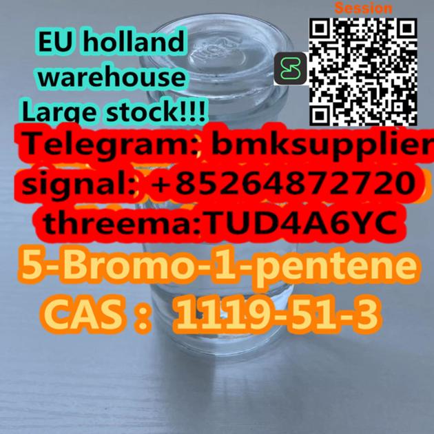 5 Bromo 1 Pentene 95 1119