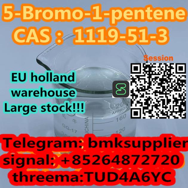 5 Bromo 1 Pentene 95 1119