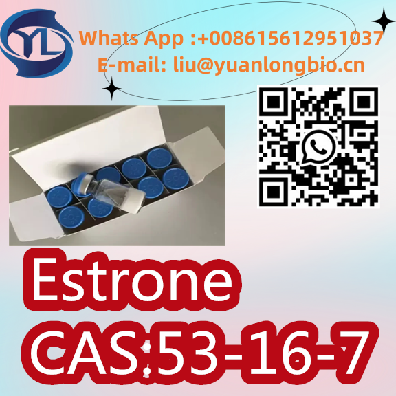 CAS:53-16-7 High Quality 99% Purity Estrone