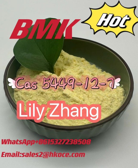 Factory Price BMK Glycidic Acid (sodium salt) CAS 5449-12-7 door-to-door