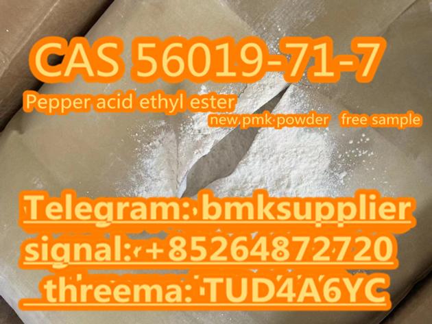 Pepper acid ethyl este Nieuwe PMK poeder 56019-71-7