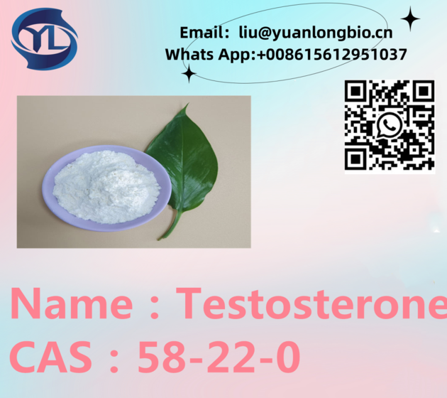 Testosterone CAS:58-22-0 With Top Quality