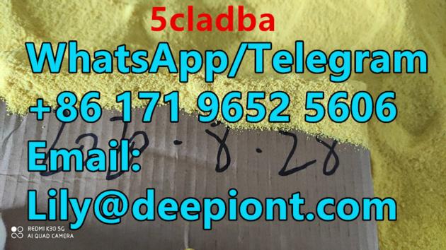 New research chemical 5cladb powder 5CL-ADB hot sale