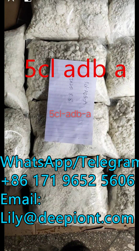 5CL ADB A Powder 5 Cl