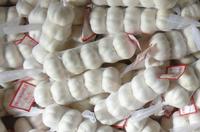 pure white garlic