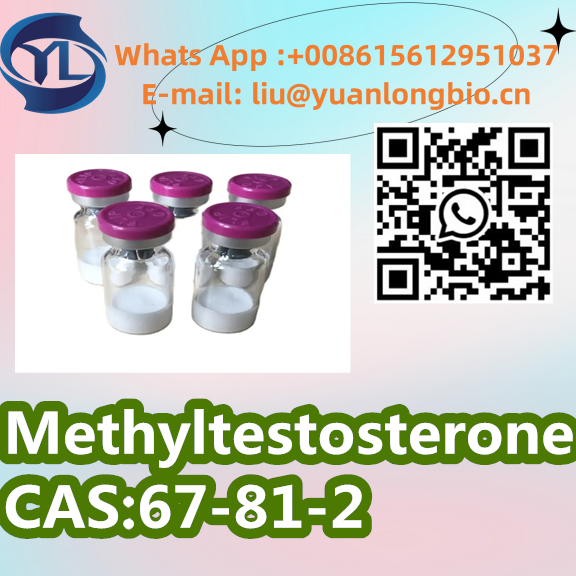 CAS:67-81-2 High Quality 99% Purity Methyltestoste