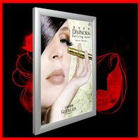 Advertising poster light box