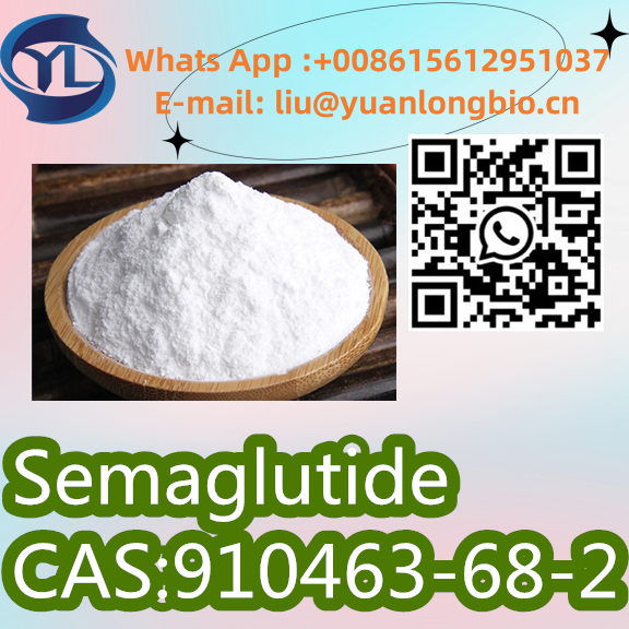 CAS:910463-68-2 High Quality 99% Purity Semaglutide