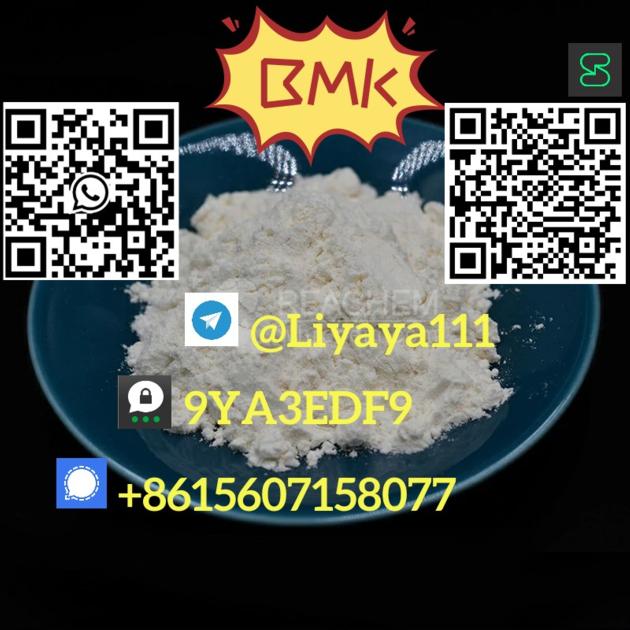 Best Selling BMK Glycidic Acid Powder