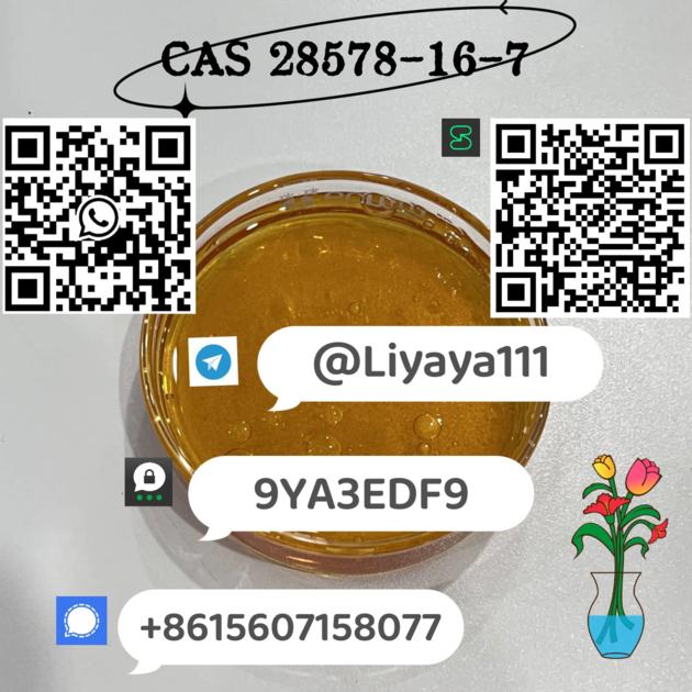 Well Sold PMK Ethyl Glycidate CAS