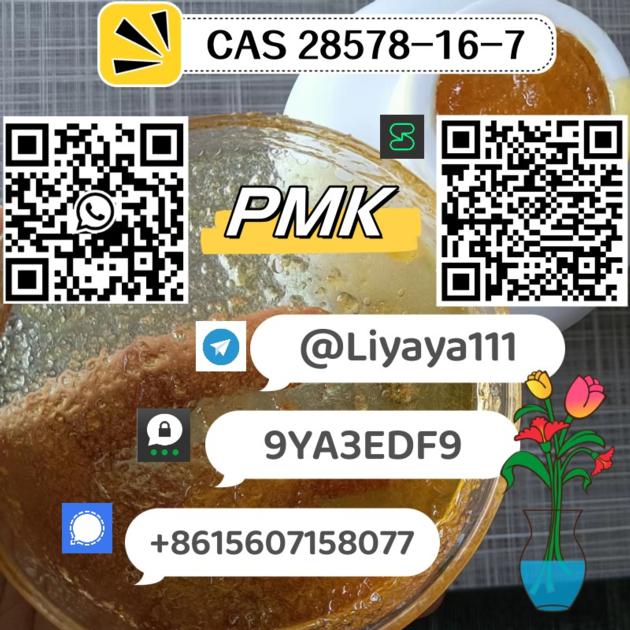 Well Sold PMK Ethyl Glycidate CAS