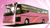 CNG CJQ6120 Series
