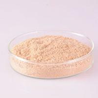 SlimEasy  – Rapid Weight Loss Formula