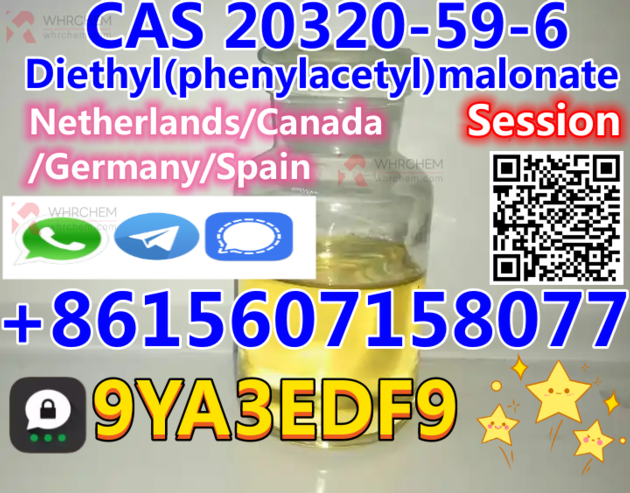 High quality low moq Diethyl(phenylacetyl)malonate CAS 20320-59-6 with safe shipping 