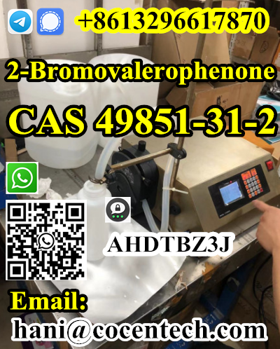 TOP Quality 2 Bromovalerophenone CAS 49851