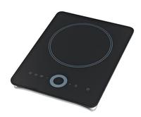 champion touch control induction cooker IDA053