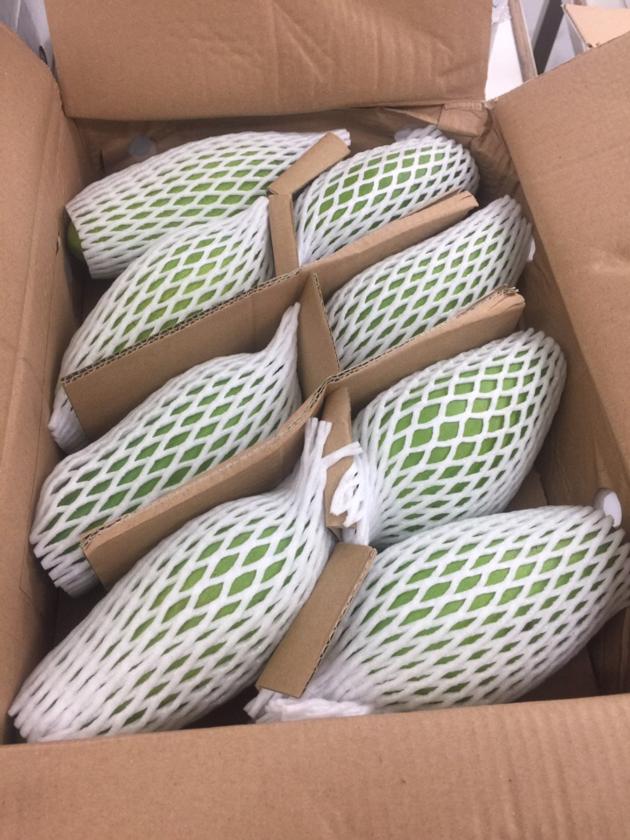 FRESH MANGOES FROM VIETNAM