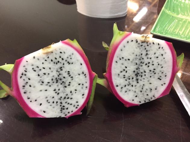 Fresh Dragon Fruit From Viet Nam