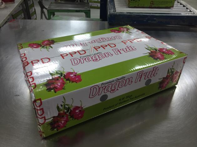 Fresh Dragon Fruit From Viet Nam