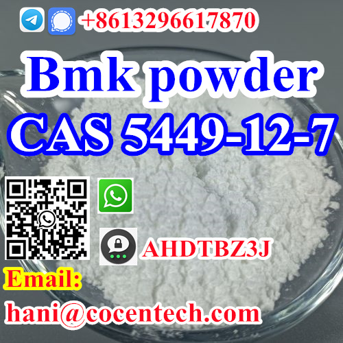 Hot precursor 5449-12-7 bmk powder Factory Supply High Purity bmk Glycidic Powder CAS 5449-12-7 