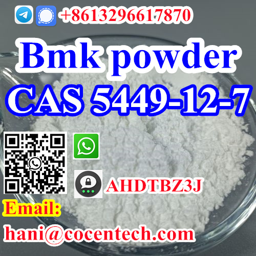 Hot precursor 5449-12-7 bmk powder Factory Supply High Purity bmk Glycidic Powder CAS 5449-12-7 