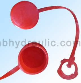Dust Cap