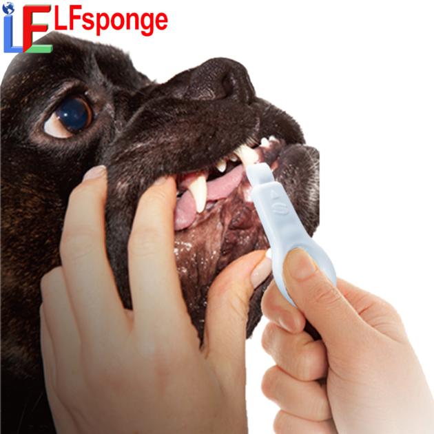 Wholesale Dog Toothbrush China Pet Teeth