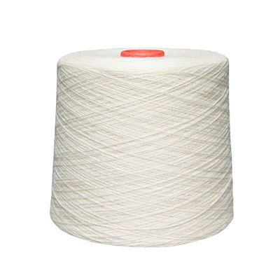 Cariaggi Cashmere Yarn