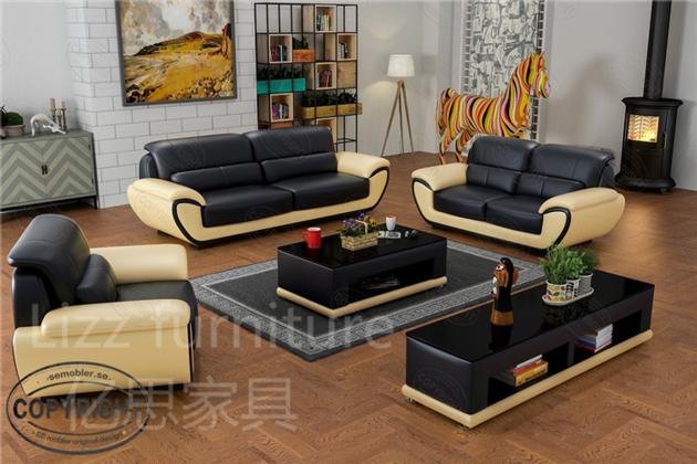 2017 Lizz European Style Leather Sofa