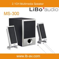2.1 CH Computer Multimedia Speaker MS-300