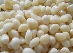 garlic in brine