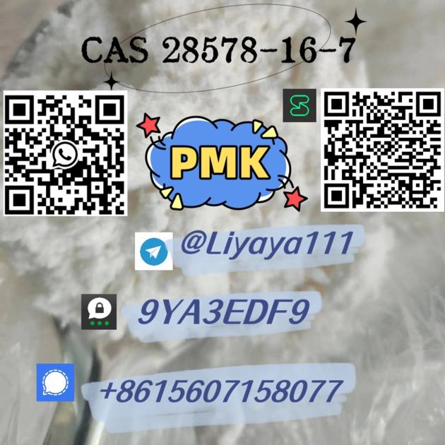 Well Sold PMK Ethyl Glycidate CAS