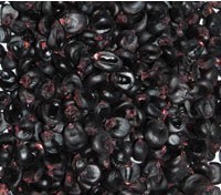 Purple Corn Color