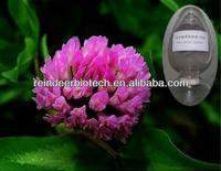  Red Clover Extract 