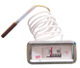 capillary thermometer model WTY-100A