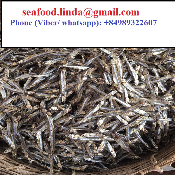 DRIED ANCHOVY FISH/ DRIED FISH WITH HEAD WELLSUN WITH BEST PRICE 2021 (Anchois)