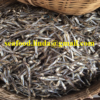 Dry Anchovy fish/ Dried Sprats Unsalt Good quality good price