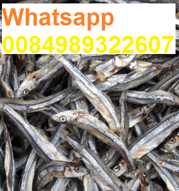 DRIED ANCHOVY FISH DRIED FISH WITH